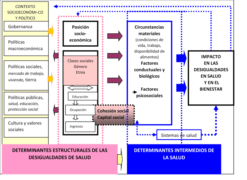 LOS DETERMINANTES DE LA SALUD EN BOLIVIA QUE IMPACTARON EN LA PANDEMIA