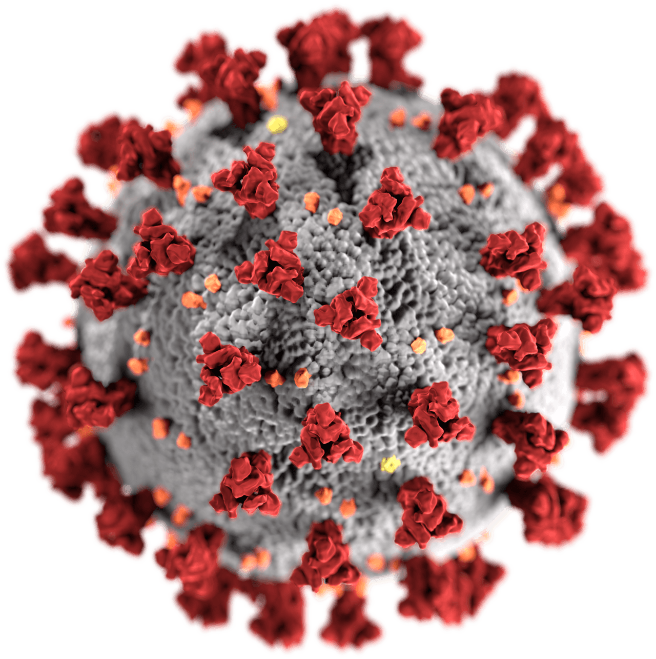De un número a un sistema: cómo se monitoriza una epidemia con datos abiertos