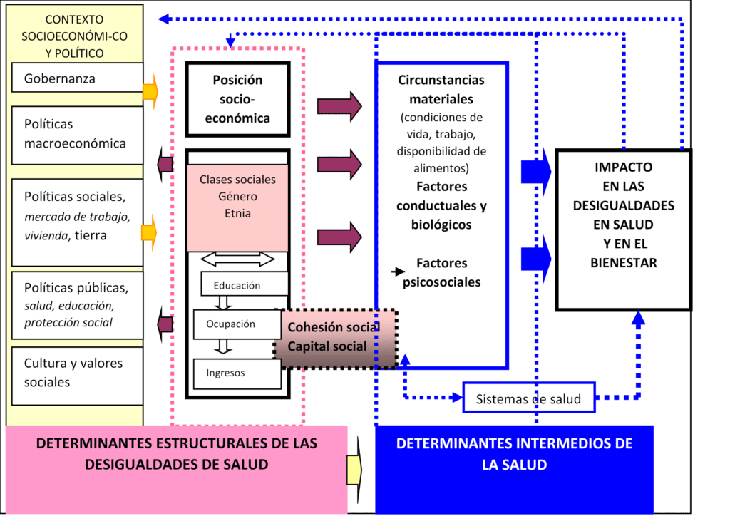 Marco Conceptual de los determinantes sociales de la salud